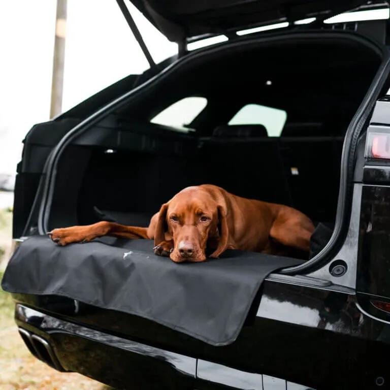 Danish Design Waterproof Dog Car Boot Bed