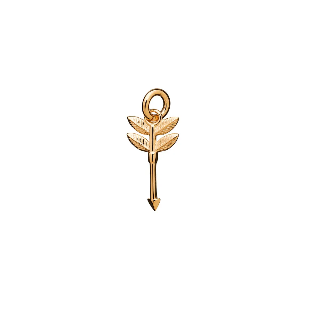 Karen Walker 9ct Yellow Gold Adventure Charm - Made to Order