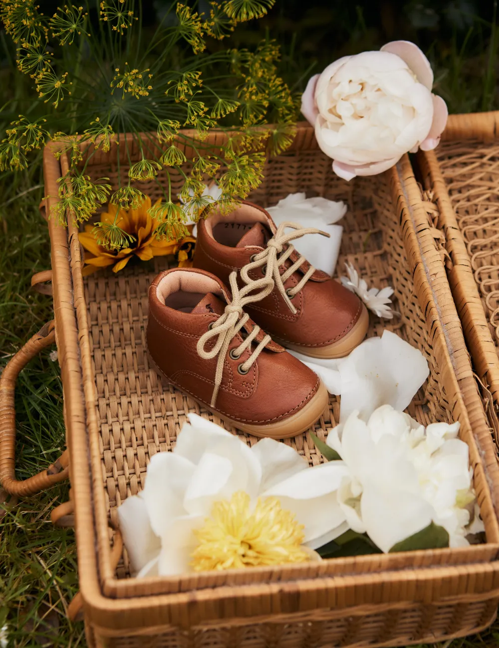 Mini Bootie Lace - Cognac