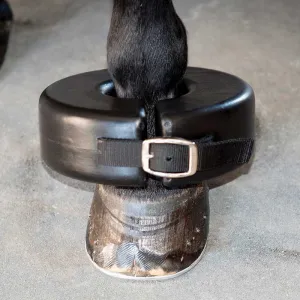 Shoe Boil Boot Ring