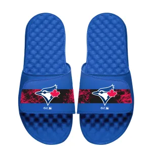 Toronto Blue Jays Distressed