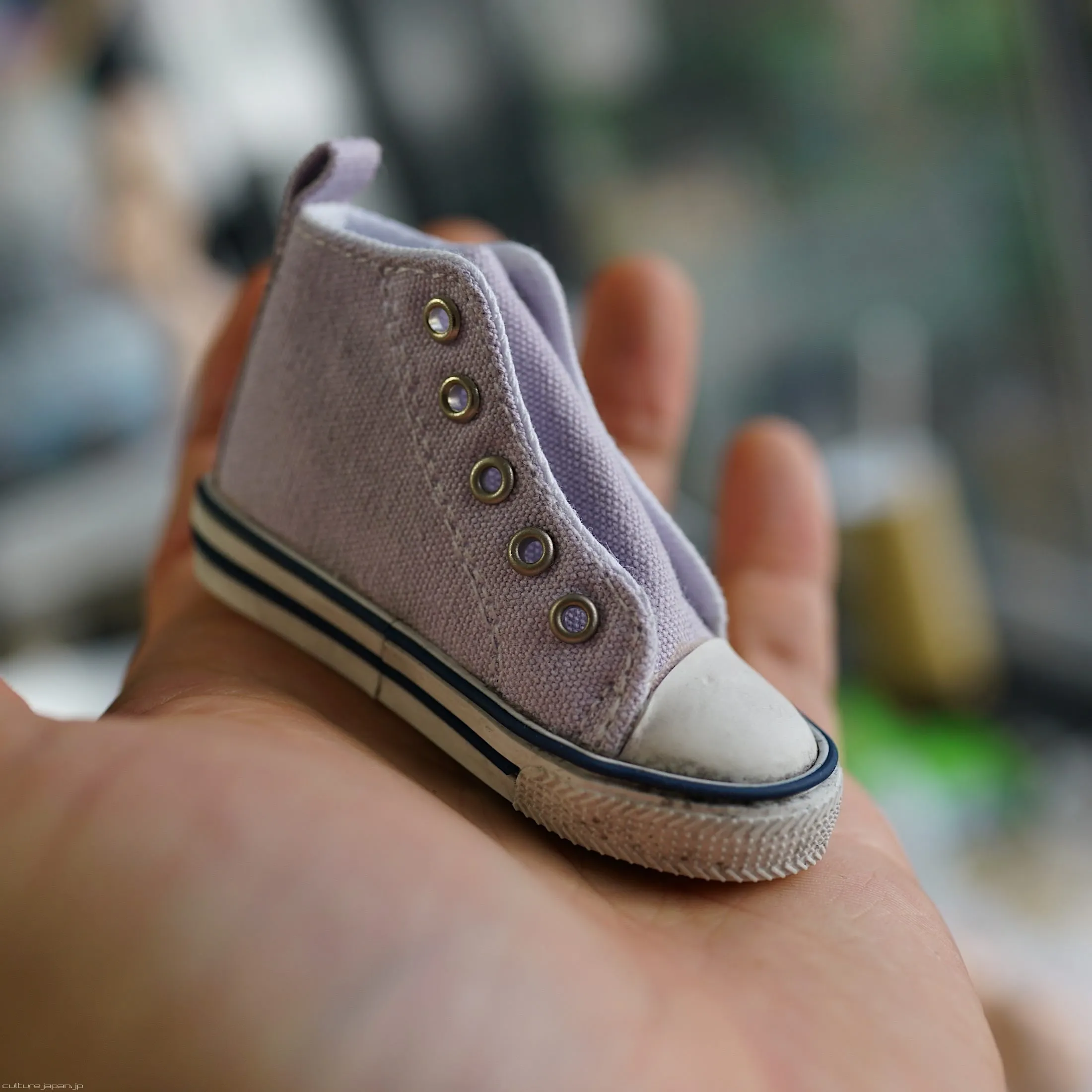 Weathered Canvas Shoes (Purple)